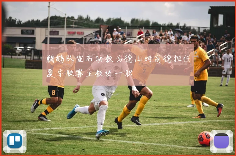 鹈鹕队宣布助教戈德山姆高德担任夏季联赛主教练一职